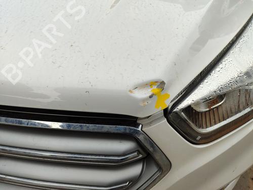 Hood FORD KUGA III (DFK)  | BP29727777C1 