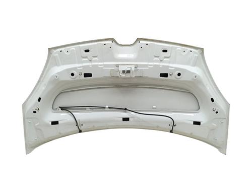 Hood RENAULT KANGOO / GRAND KANGOO II (KW0/1_)  | BP28523559C1