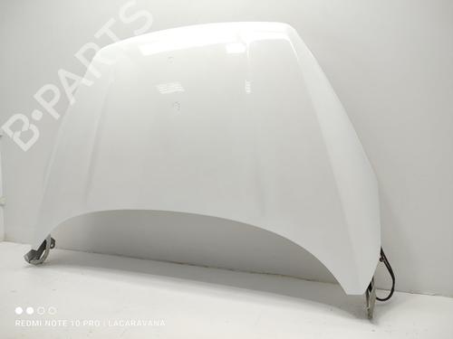 Hood FORD KUGA II (DM2)  | BP23117282C1 
