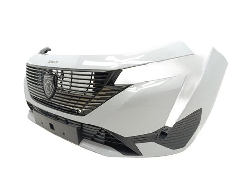 Front bumper PEUGEOT 308 III (FB_, FH_, FP_, F3_, FM_)  | BP29721187C7 