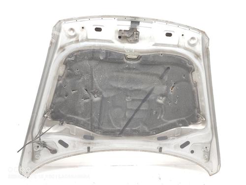 Hood VW TOUAREG (7LA, 7L6, 7L7) 2.5 R5 TDI | BP16504007C1 