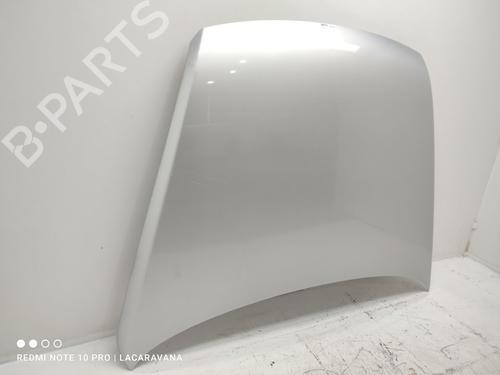 Hood VW TOUAREG (7LA, 7L6, 7L7) 2.5 R5 TDI | BP16504007C1 