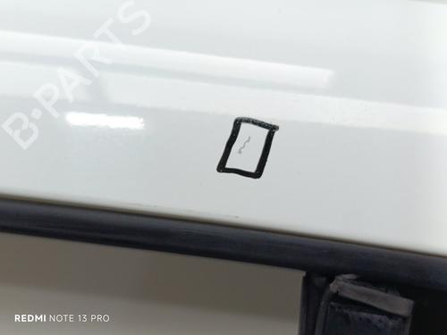 Left rear door DACIA SANDERO II  | BP23461023C4