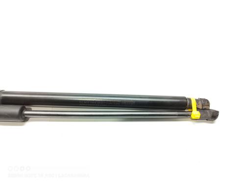 Tailgate lift support NISSAN QASHQAI / QASHQAI +2 I (J10, NJ10, JJ10E) 1.5 dCi | BP21139653C138 
