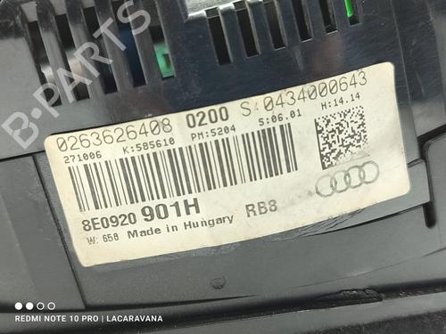 Instrument cluster AUDI A4 B7 Avant (8ED) 2.0 TDI 16V | BP20702916C47 