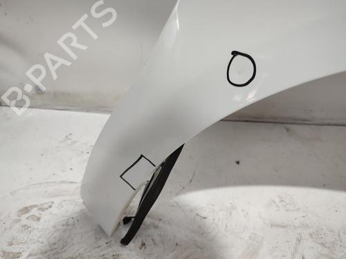 Right front fenders CITROËN C4 II (NC_)  | BP24315765C42 