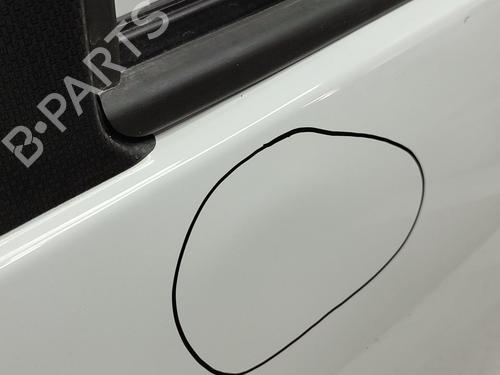 Left rear door DACIA SANDERO II  | BP23336931C4 