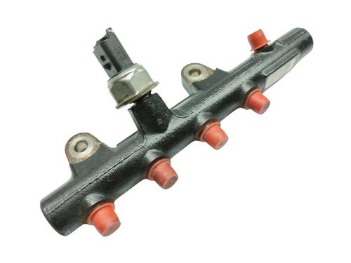 Used Injection rail NISSAN JUKE (F15) 1.5 dCi (110 hp) 20109553