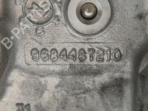 Cylinder head FORD FOCUS III  | BP22446918M5 
