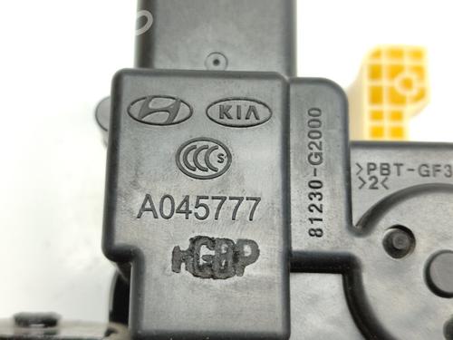 Tailgate lock HYUNDAI IONIQ (AE) 1.6 GDI Hybrid | BP17589171C101 