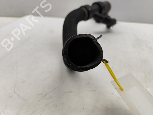 Pipe LAND ROVER RANGE ROVER EVOQUE (L538)  | BP29715495M125 