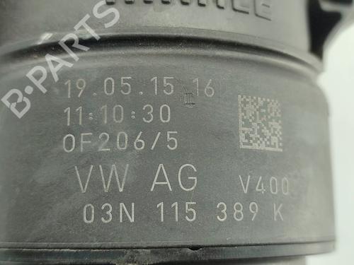 Oil radiator SEAT LEON (5F1)  | BP16516229M33 