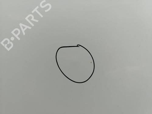 Hood LAND ROVER FREELANDER 2 (L359) 2.2 TD4 4x4 | BP29247005C1