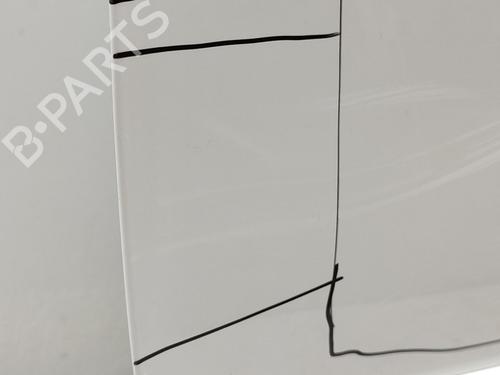 Right front door FIAT 500 (312_)  | BP29435520C3 