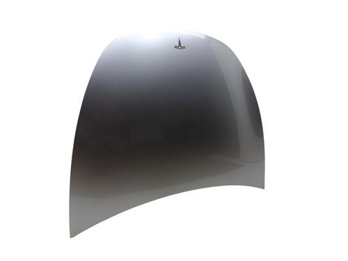 Hood TESLA MODEL Y (5YJY)  | BP29720817C1 
