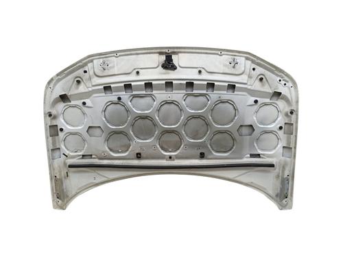 Hood LAND ROVER FREELANDER 2 (L359) 2.2 TD4 4x4 | BP29247005C1