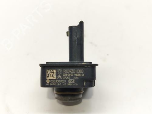 Camera PEUGEOT 3008 II SUV (MC_, MR_, MJ_, M4_) | BP25793371E14