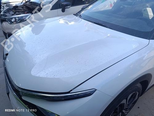 Hood CITROËN C5 X (ND_, NC_)  | BP29727667C1 