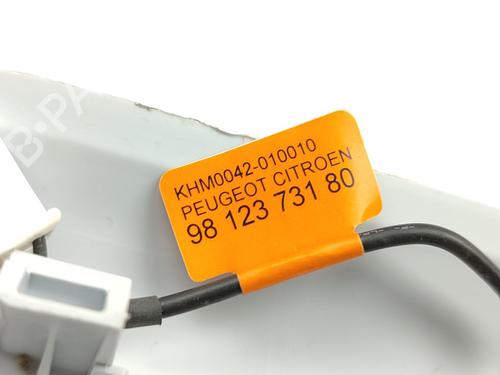 Interior roof light PEUGEOT 2008 I (CU_)  | BP29967479I8 