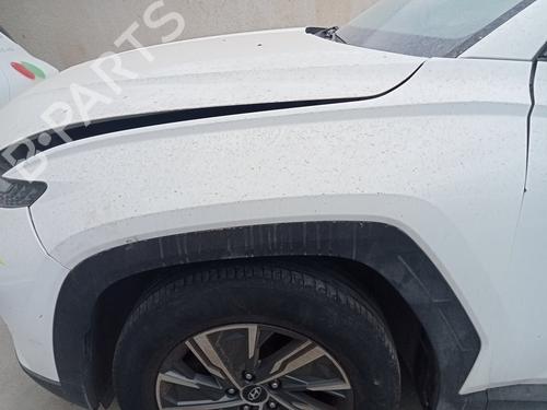 Used Left front fenders HYUNDAI TUCSON (NX4E, NX4A) [2020-2026]  31664902