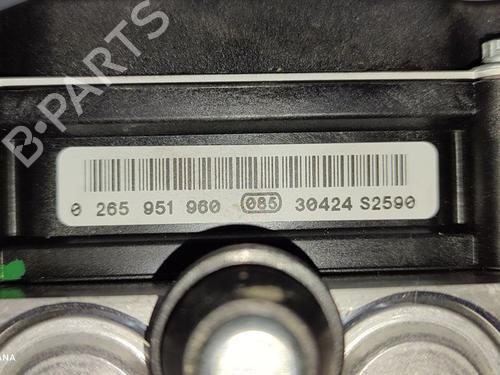 ABS pump LAND ROVER DISCOVERY IV (L319)  | BP16510117M43 