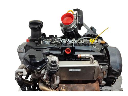 Engine VW TRANSPORTER T6 Van (SGA, SGH, SHA, SHH)  | BP29512317M1 