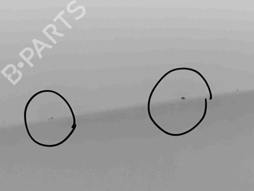 Left front door NISSAN NOTE (E13) | BP36561018C2 - Image 2