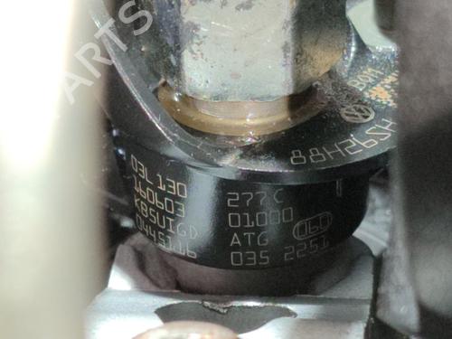 Engine VW TRANSPORTER T6 Van (SGA, SGH, SHA, SHH)  | BP29512317M1 