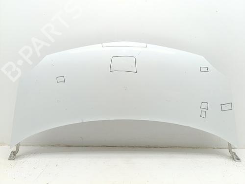 Hood RENAULT KANGOO / GRAND KANGOO II (KW0/1_) 1.5 dCi 70 (KW0V, KW0A) | BP24922818C1 