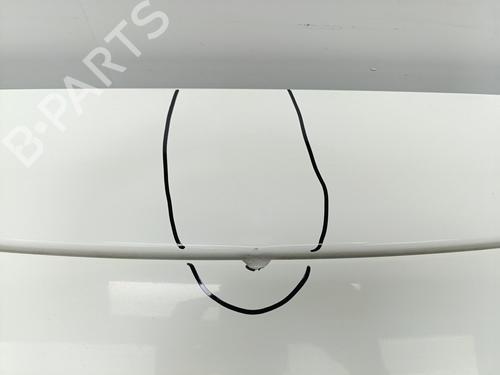 Bakluke CC/Kombi-Kupé NISSAN QASHQAI II (J11, J11_)  | BP29904879C6 