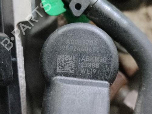 Engine FORD C-MAX II (DXA/CB7, DXA/CEU)  | BP29512318M1 