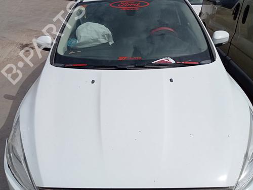 Used Hood FORD FOCUS III [2010-2020]  29165691