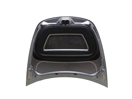 Hood TESLA MODEL Y (5YJY)  | BP29720817C1 