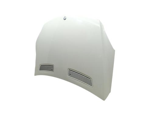 Hood MERCEDES-BENZ R-CLASS (W251, V251) R 300 CDI 4-matic (251.020) | BP28547386C1