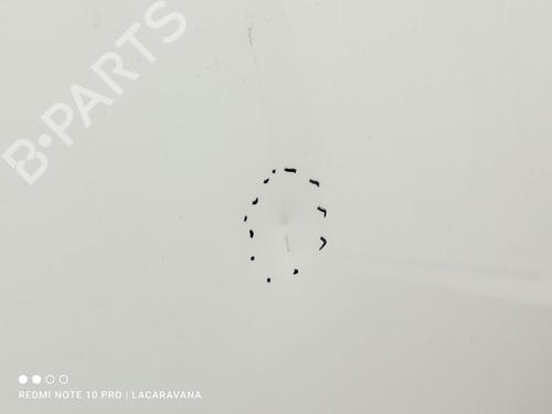 Hood FORD KUGA II (DM2)  | BP23117282C1 