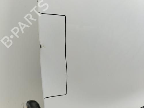 Left front door PEUGEOT PARTNER Box Body/MPV (5_, G_)  | BP29257045C2 