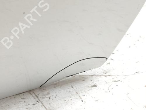 Right front door FIAT 500 (312_)  | BP29435520C3 