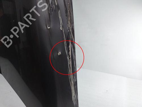 Hood LAND ROVER DISCOVERY III (L319) 2.7 TD 4x4 | BP25598965C1