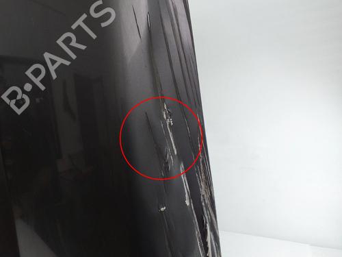 Hood LAND ROVER DISCOVERY III (L319) 2.7 TD 4x4 | BP25598965C1