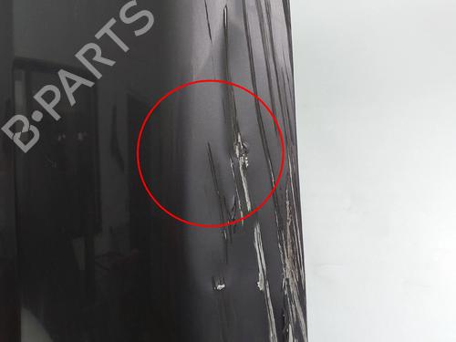 Hood LAND ROVER DISCOVERY III (L319) 2.7 TD 4x4 | BP25598965C1