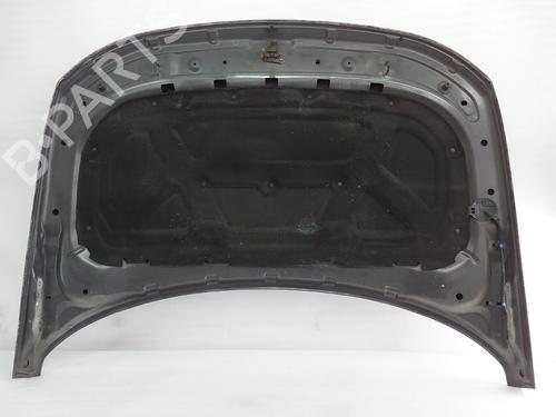 Hood LAND ROVER DISCOVERY III (L319) 2.7 TD 4x4 | BP25598965C1