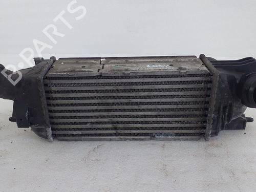 Intercooler PEUGEOT 407 SW (6E_, 6D_) 2.0 HDi | BP29126641M30 