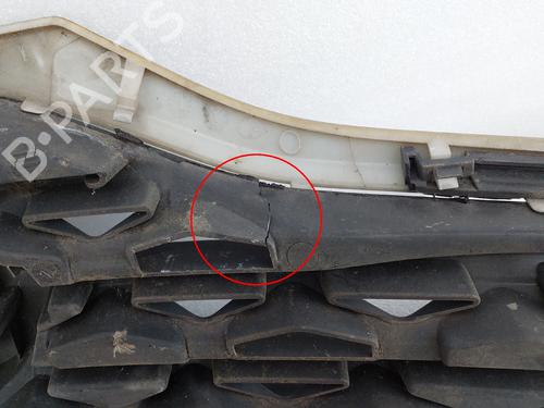 Grille NISSAN NV200 Van 1.5 dCi 90 (M20, M20N, M20M) | BP29539585C40 