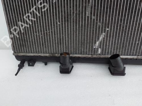 Køler PEUGEOT 407 SW (6E_, 6D_) 2.2 HDi 170 | BP29717637M31