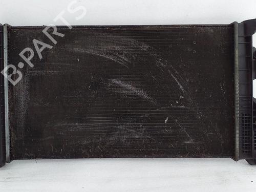 Radiateur à eau RENAULT MEGANE III Hatchback (BZ0/1_, B3_) 1.5 dCi (BZ1G, BZ1W, BZ0R) (95 hp) 29751344