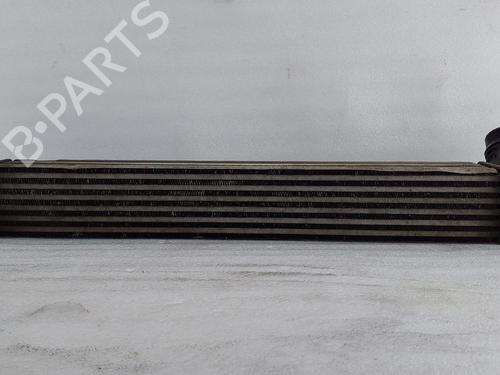 Used Intercooler RENAULT MEGANE III Hatchback (BZ0/1_, B3_) 1.5 dCi (BZ1G, BZ1W, BZ0R) (95 hp) 29751346