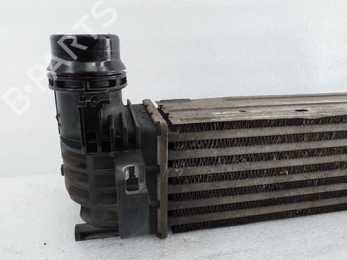 Intercooler RENAULT MEGANE III Hatchback (BZ0/1_, B3_) 1.5 dCi (BZ1G, BZ1W, BZ0R) | BP29751346M30