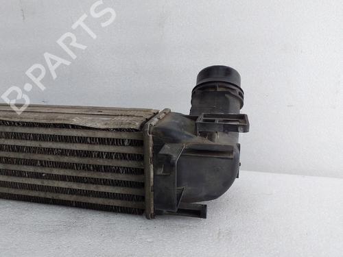Intercooler RENAULT MEGANE III Hatchback (BZ0/1_, B3_) 1.5 dCi (BZ1G, BZ1W, BZ0R) | BP29751346M30