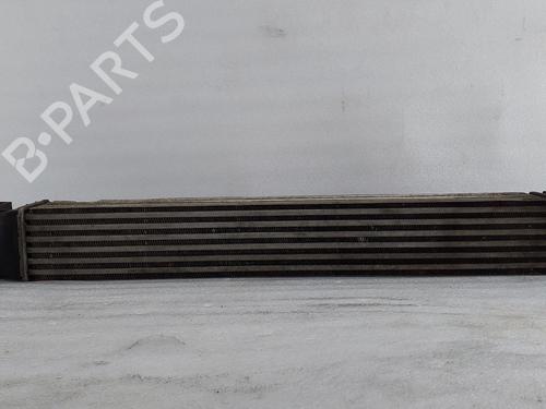 Intercooler RENAULT MEGANE III Hatchback (BZ0/1_, B3_) 1.5 dCi (BZ1G, BZ1W, BZ0R) | BP29751346M30