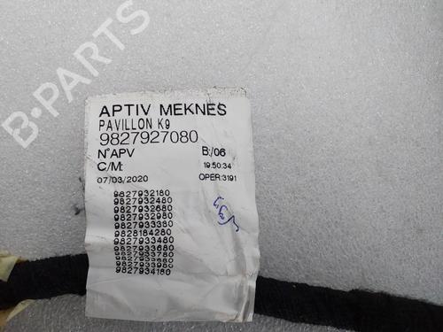 Display monitor PEUGEOT PARTNER Box Body/MPV (K9) 1.5 BlueHDI 130 | BP29861210C48 